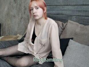 RileyHamming