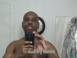 Rodney_Rabbit