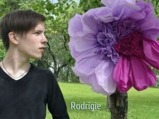 Rodrigie