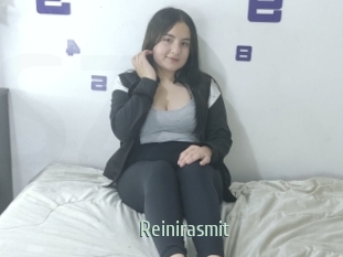 Reinirasmit