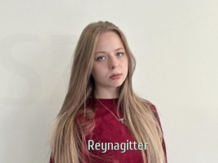Reynagitter