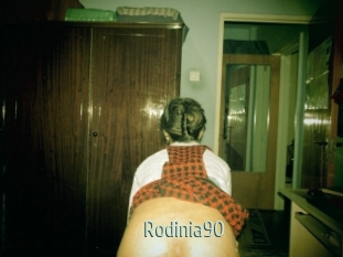 Rodinia90