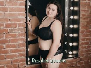 Rosaliebigboobs