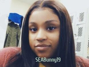 SEABunny19