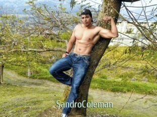 SandroColeman Sexcam Zone