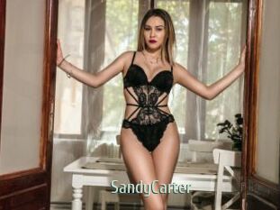 SandyCarter