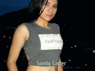 Sandy_Carter