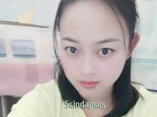 Scindapsus
