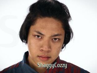 ShaggyCozzy