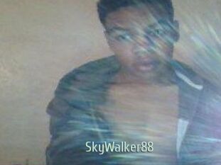 SkyWalker88