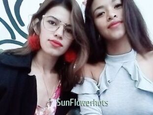 SunFlowerhots