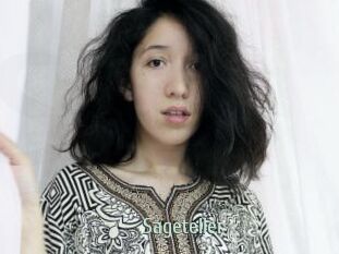 Sageteller