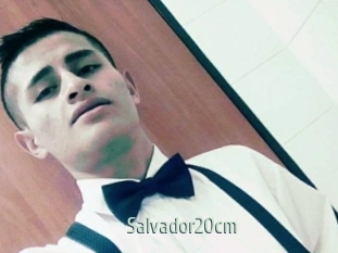 Salvador20cm