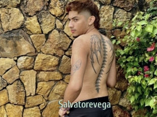 Salvatorevega