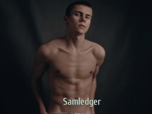 Samledger
