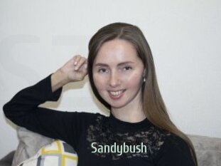 Sandybush