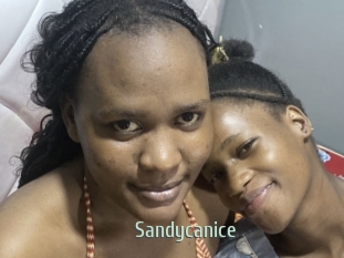 Sandycanice