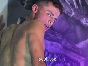 Scotrose