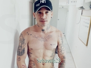 sebasvip23 Sexcam Zone