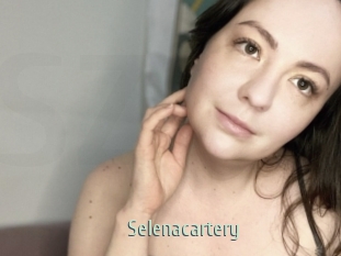 Selenacartery