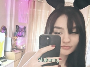 Shybunny