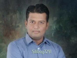 Siliboy7291