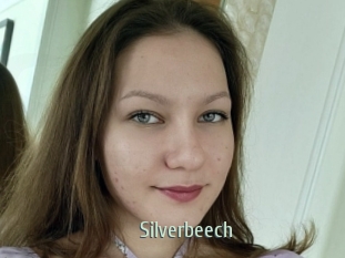 Silverbeech