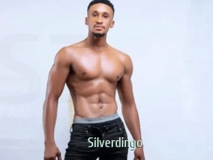 Silverdingo