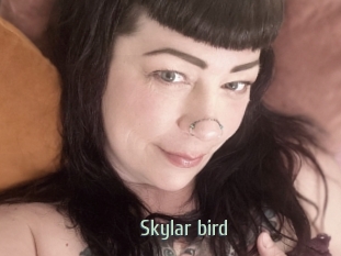 Skylar_bird