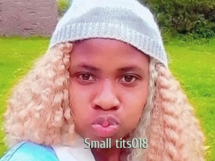 Small_tits018