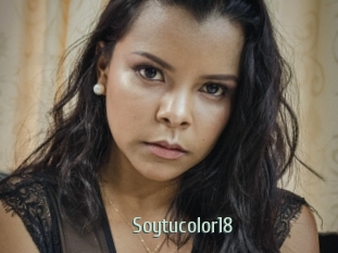 Soytucolor18