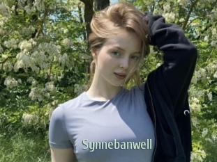 Synnebanwell