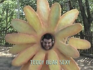 TEDDY_BEAR_SEXY