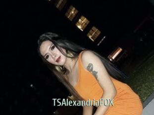 TSAlexandriaFOX