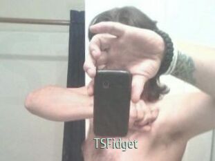 TSFidget