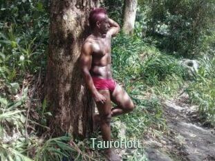 Tauro_Hott