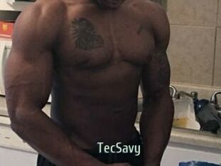 TecSavy