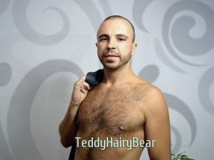 TeddyHairyBear