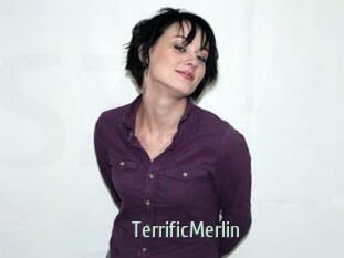 TerrificMerlin