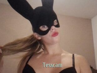 Tesscam
