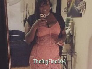 TheBigFine304