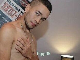 Tigga18