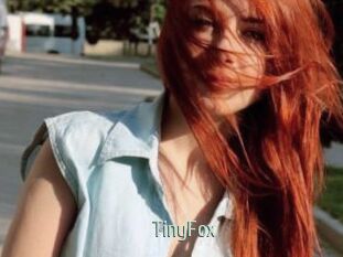 TinyFox