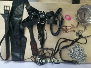 Tomm_Catt