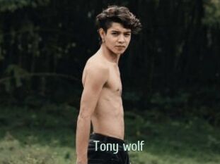 Tony_wolf