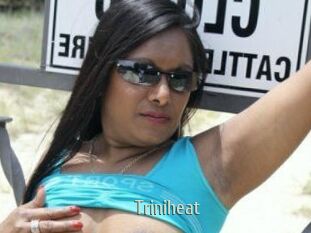 Triniheat
