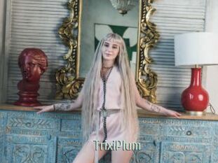 TrixiPlum