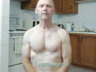 Tumbleweed13