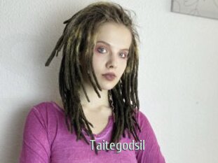 Taitegodsil