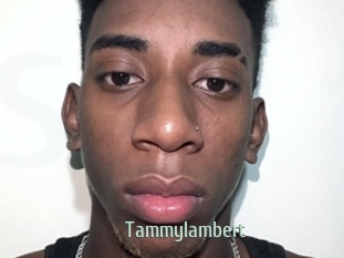 Tammylambert